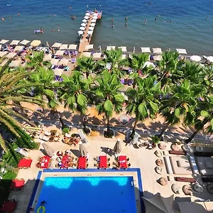 book here